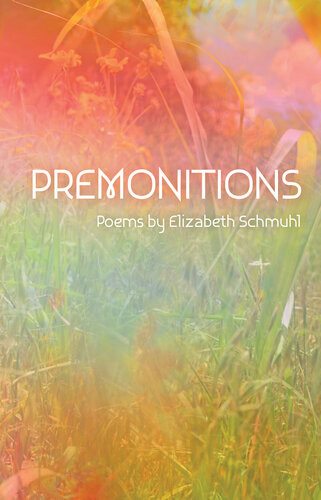 Premonitions Elizabeth Schmuhl