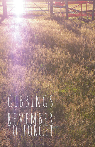 Remember To Forget Jonny Gibbings