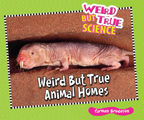 Weird But True Animal Homes Carmen Bredeson