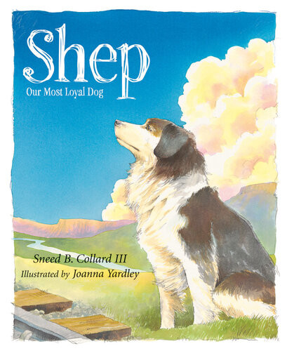 Shep Our Most Loyal Dog Sneed B Collard