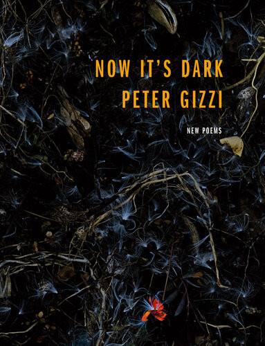 Now Its Dark Peter Gizzi