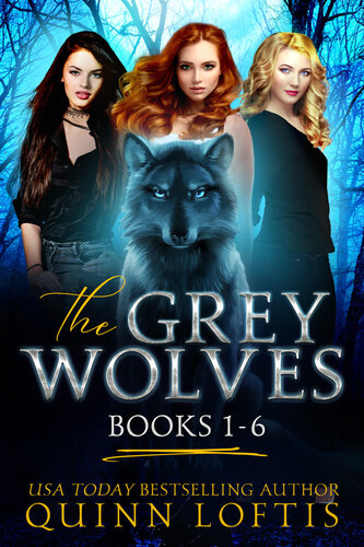 The Grey Wolves Series Books 16 Quinn Loftis