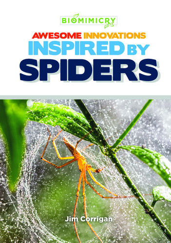 Awesome Innovations Inspired By Spiders Jim Corrigan