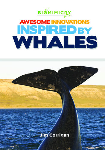 Awesome Innovations Inspired By Whales Jim Corrigan