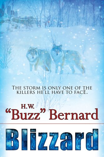 Blizzard Hw Buzz Bernard