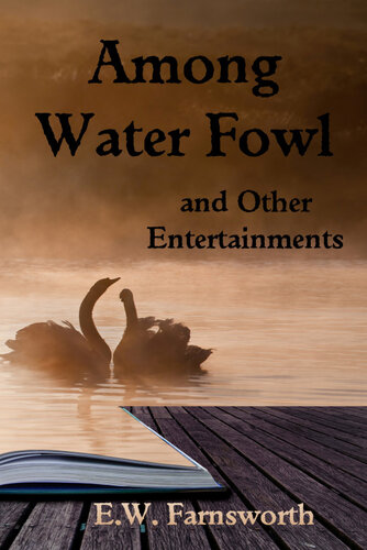 Among Water Fowl And Other Entertainments Ew Farnsworth