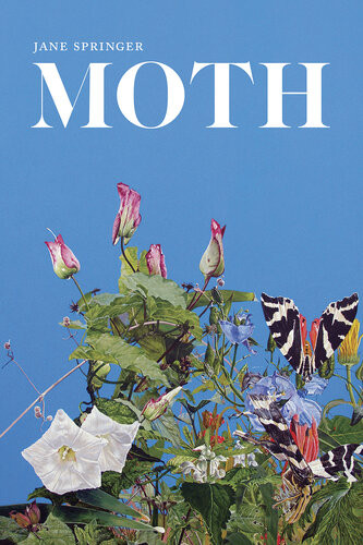 Moth Poems Jane Springer