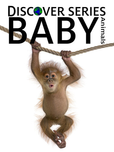 Baby Animals Xist Publishing