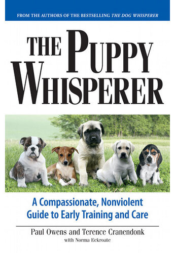 The Puppy Whisperer A Compassionate Nonviolent Guide To Early Training And Care Paul Owens