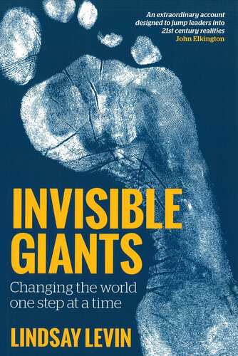 Invisible Giants Changing The World One Step At A Time Lindsay Levin