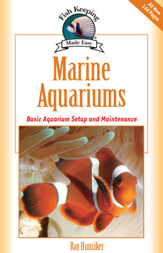 Marine Aquariums Basic Aquarium Setup And Maintenance Ray Hunziker