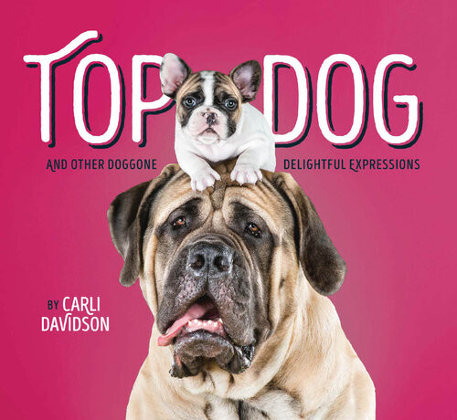 Top Dog And Other Doggone Delightful Expressions Carli Davidson
