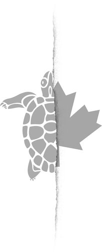 Gehl V Canada Challenging Sex Discrimination In The Indian Act Lynn Gehl