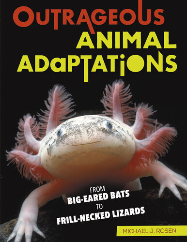 Outrageous Animal Adaptations From Bigeared Bats To Frillnecked Lizards Michael J Rosen