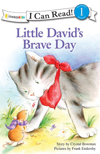 Little Davids Brave Day Crystal Bowman