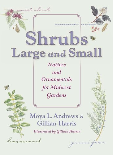 Shrubs Large And Small Natives And Ornamentals For Midwest Gardens Moya L Andrews