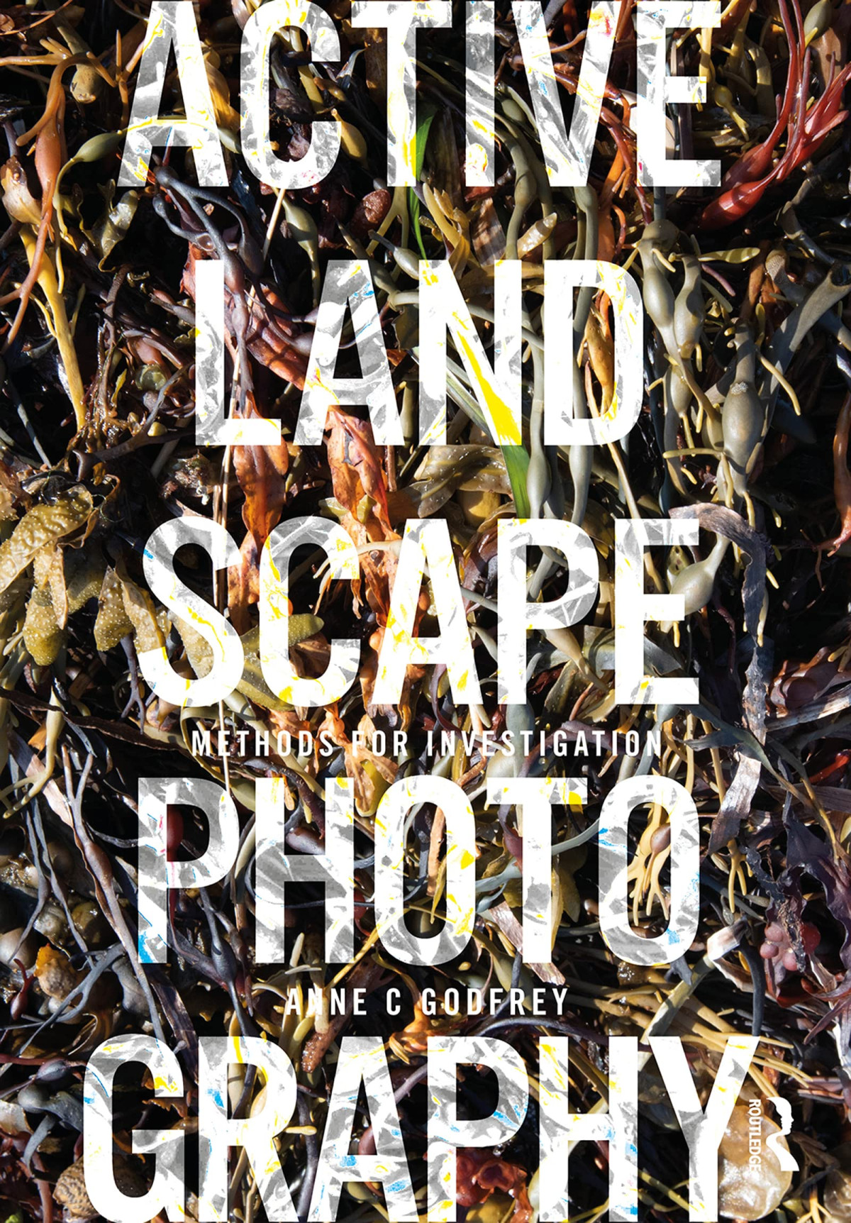 Active Landscape Photography Methods For Investigation 1st Edition Anne C Godfrey
