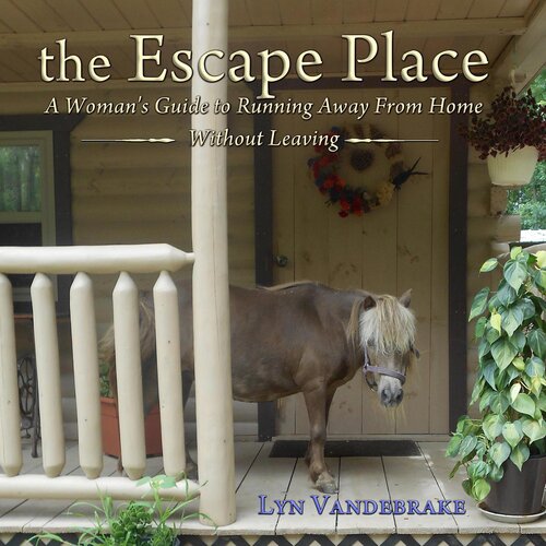 The Escape Place Lyn Vandebrake