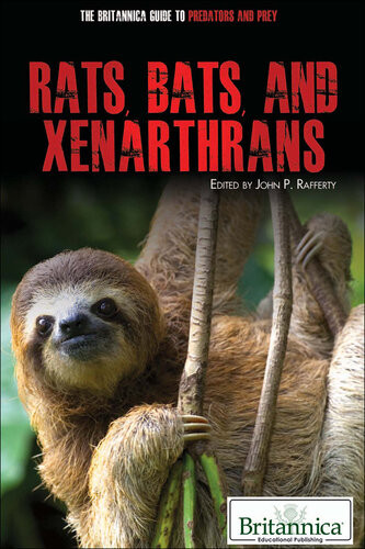 Rats Bats And Xenarthrans Britannica Educational Publishing