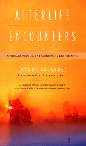 Afterlife Encounters Ordinary People Extraordinary Experiences Dianne Arcangel