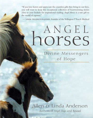 Angel Horses Divine Messengers Of Hope Allen Anderson Linda Anderson