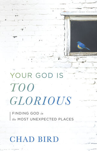 Your God Is Too Glorious Finding God In The Most Unexpected Places Chad Bird