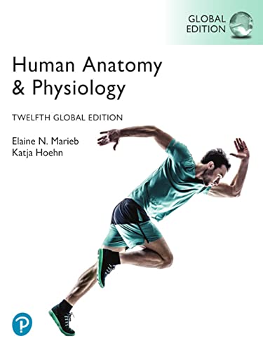 Human Anatomy Physiology 12th Edition Elaine N Marieb Katja Hoehn