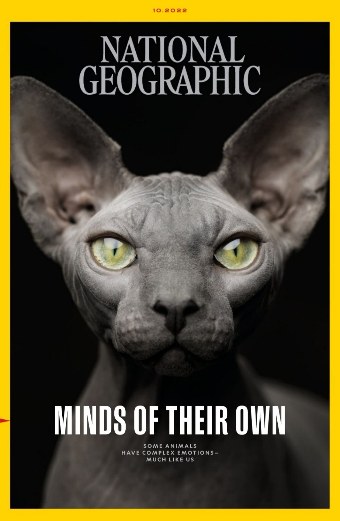 National Geographic October Mind Of Their Own 1st Edition National Geographic