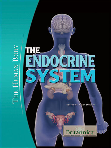 The Endocrine System Britannica Educational Publishing
