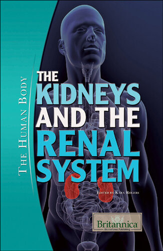 The Kidneys And The Renal System Britannica Educational Publishing