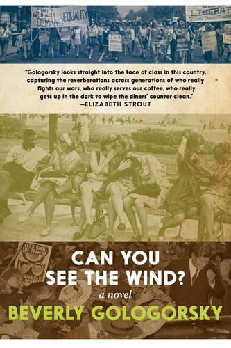 Can You See The Wind A Novel Beverly Gologorsky