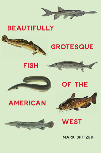 Beautifully Grotesque Fish Of The American West Mark Spitzer