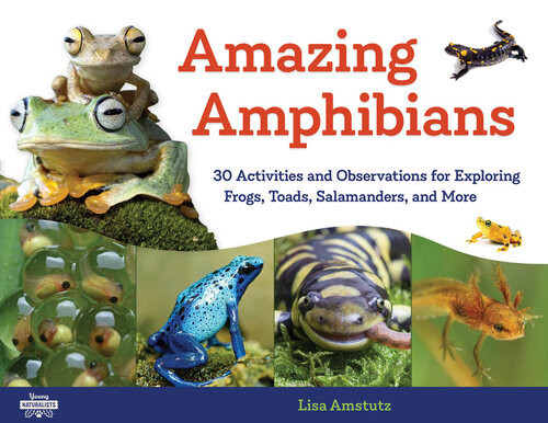 Amazing Amphibians 30 Activities And Observations For Exploring Frogs Toads Salamanders And More Lisa J Amstutz