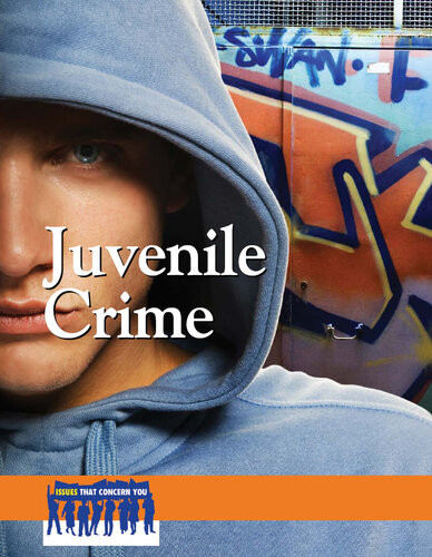 Juvenile Crime Heidi Watkins