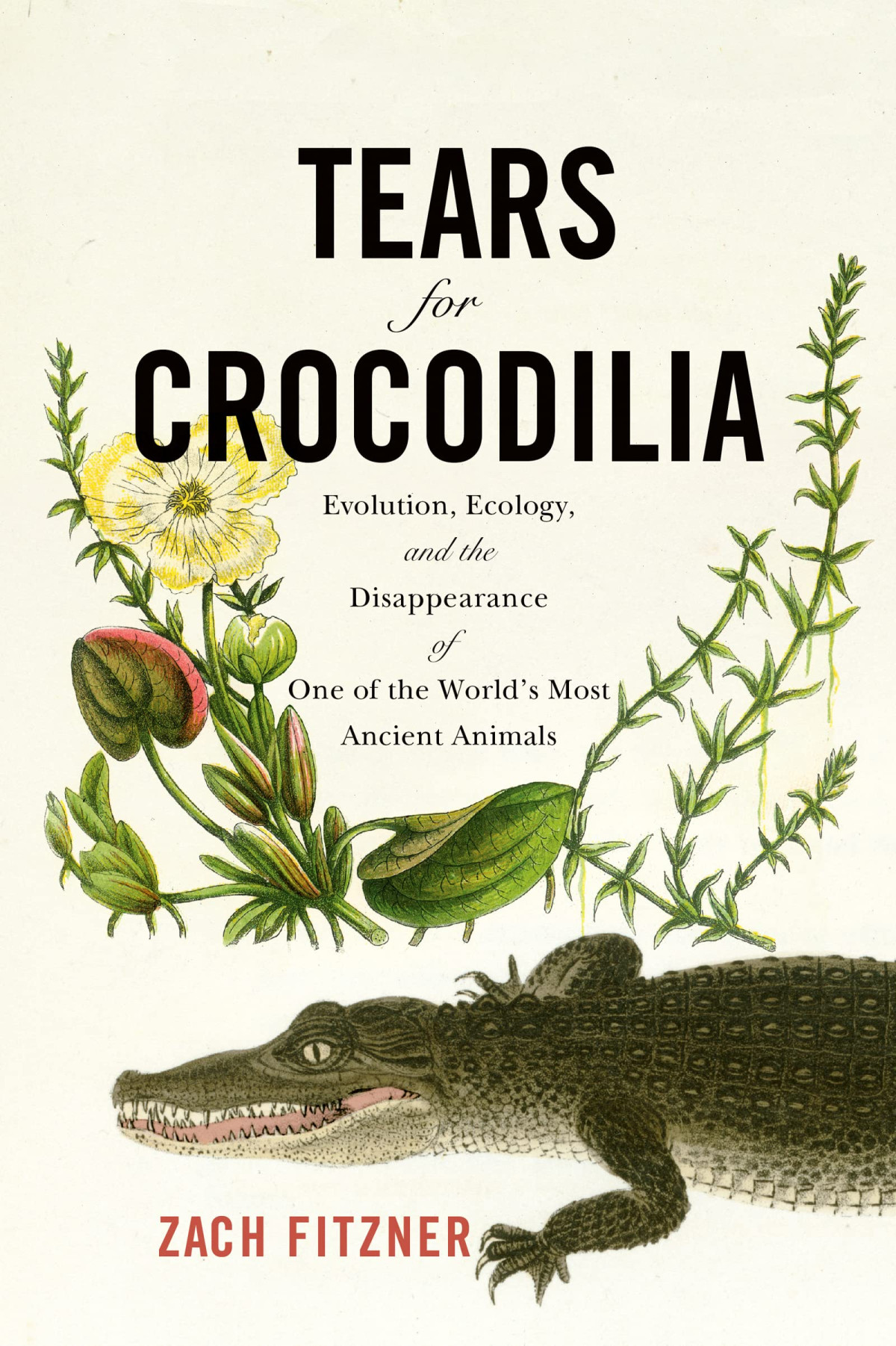 Tears For Crocodilia Zach Fitzner