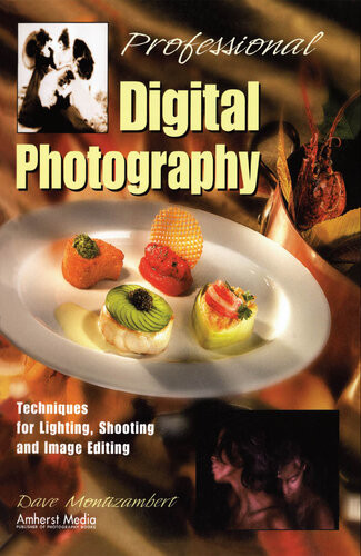 Professional Digital Photography Techniques For Lighting Shooting And Image Editing Dave Montizambert