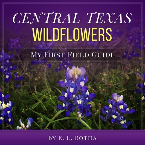 Central Texas Wildflowers E L Botha