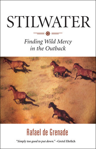 Stilwater Finding Wild Mercy In The Outback Rafael De Grenade