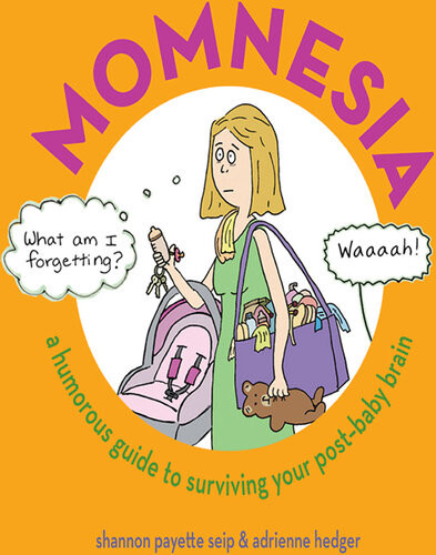 Momnesia A Humorous Guide To Surviving Your Postbaby Brain Shannon Payette Seip