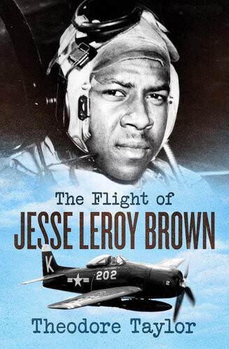 The Flight Of Jesse Leroy Brown Theodore Taylor