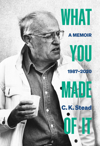 What You Made Of It A Memoir 19872020 C K Stead