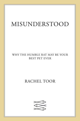 Misunderstood Why The Humble Rat May Be Your Best Pet Ever Rachel Toor