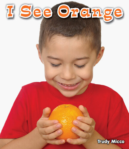 I See Orange Trudy Micco