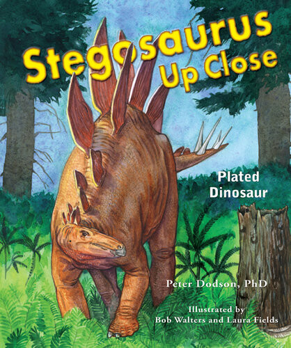 Stegosaurus Up Close Plated Dinosaur Peter Dodson Phd