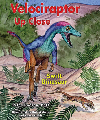 Velociraptor Up Close Swift Dinosaur Peter Dodson Phd