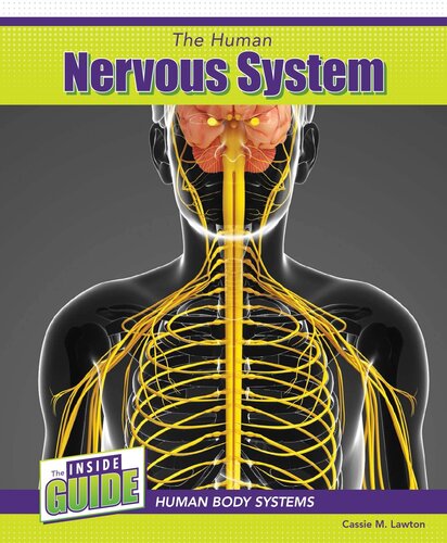 The Human Nervous System Cassie M Lawton