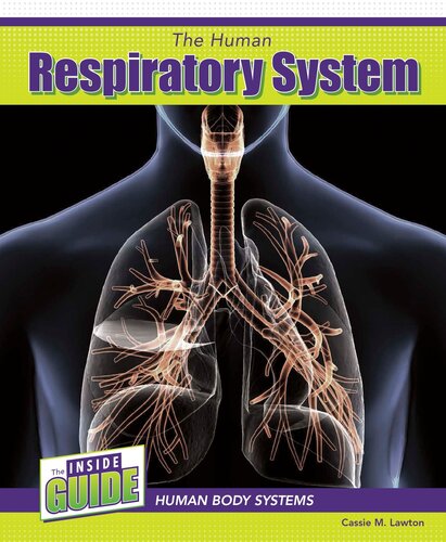 The Human Respiratory System Cassie M Lawton