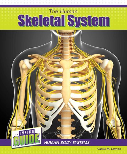 The Human Skeletal System Cassie M Lawton