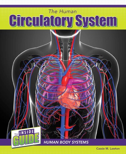 The Human Circulatory System Cassie M Lawton