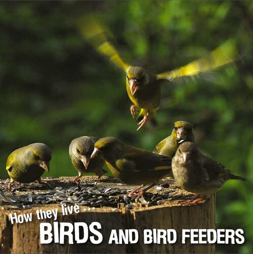 How They Live Birds Learn All There Is To Know About These Animals David Withrington